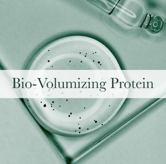 Expert On: Bio-Volumizing Protein