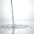 Full-Size Balancing Toner Gift - 850 Points